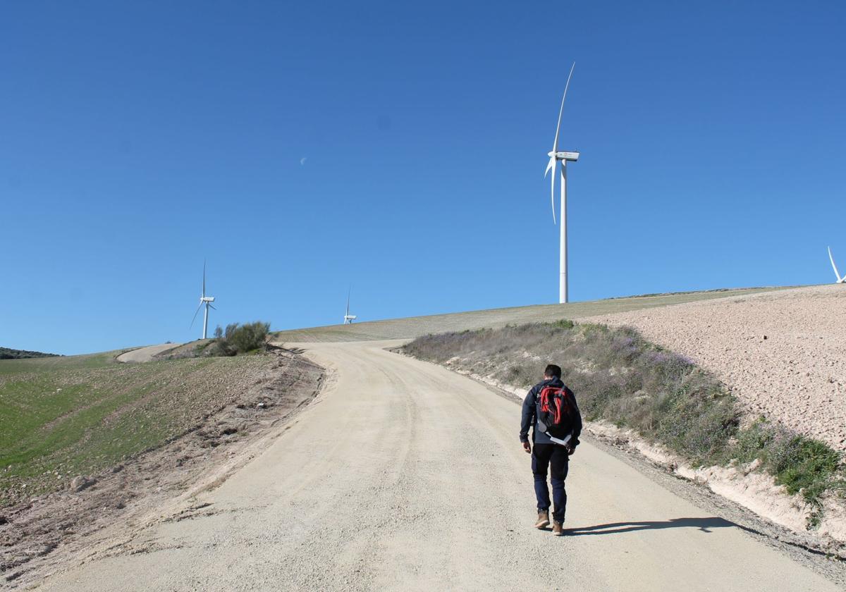 Pueblo de contrastes: Flamencos, la ruta del viento y adrenalina para los niños
