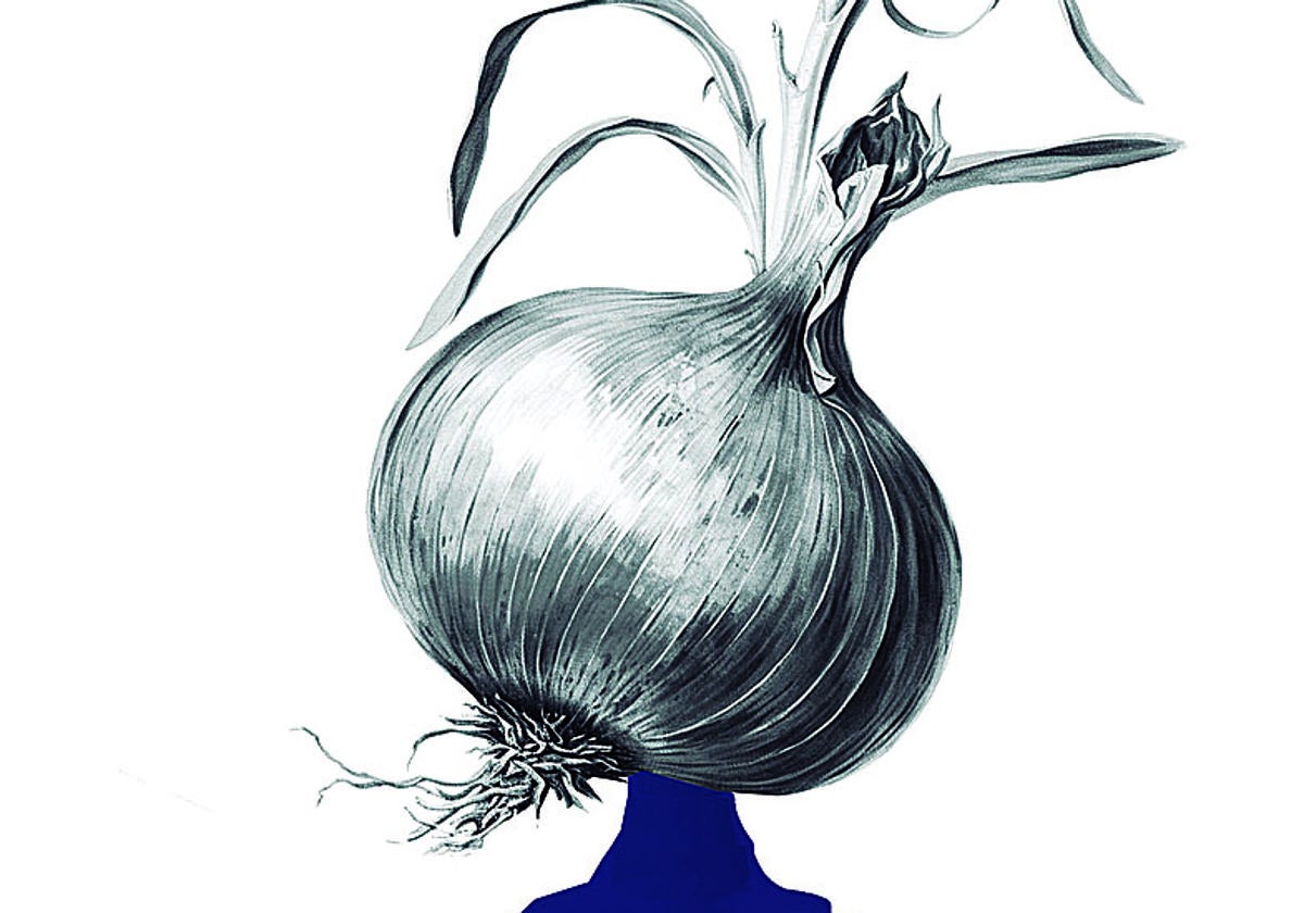 Euskadi, Zalla y las cebollas