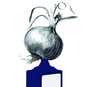 Euskadi, Zalla y las cebollas