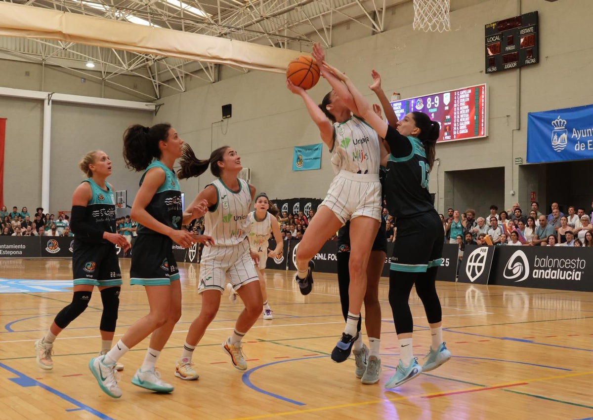 Imagen secundaria 1 - El CAB Estepona hace historia como el primer equipo malagueño en la élite del baloncesto femenino español