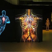 La exposición Bodies Evolution ya puede visitarse en Málaga.