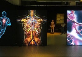 La exposición Bodies Evolution ya puede visitarse en Málaga.