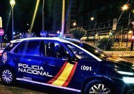 Policías asisten un parto en plena calle esta madrugada en Marbella