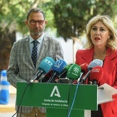 La Junta pide más VPO y deducciones fiscales para la vivienda
