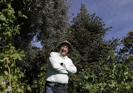 Pepe Quintanilla, debajo de un pinsapo en la cima de Los Montes de Málaga.