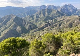 Vista panorámica de una parte de las cumbres del parque natural de las Sierras Tejeda, Almijara y Alhama.