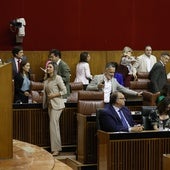 Parlamentarios del PSOE abandonan el pleno el pasado jueves durante la sesión de control.