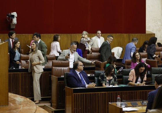 Parlamentarios del PSOE abandonan el pleno el pasado jueves durante la sesión de control.