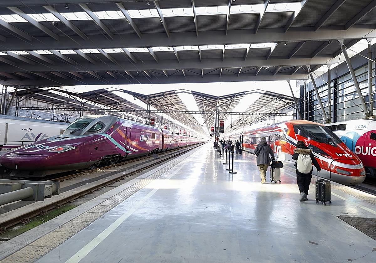Trenes de alta velocidad de las cuatro marcas que operan en María Zambrano.