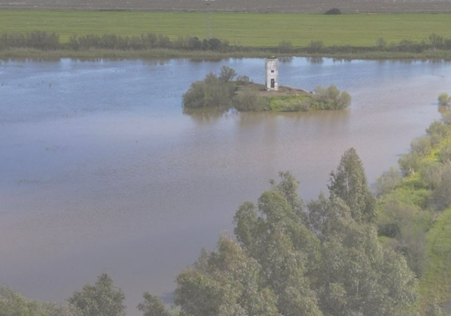 Humedal de Doñana.