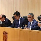 Francisco Salado, en el centro, durante el pleno de la Diputación de Málaga.