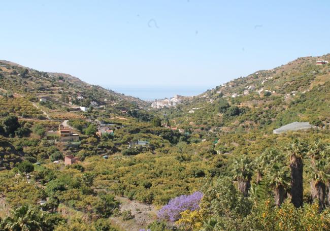 Vista del valle con el mar de fondo