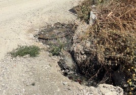 Imagen de los vertidos en uno de los arroyos.