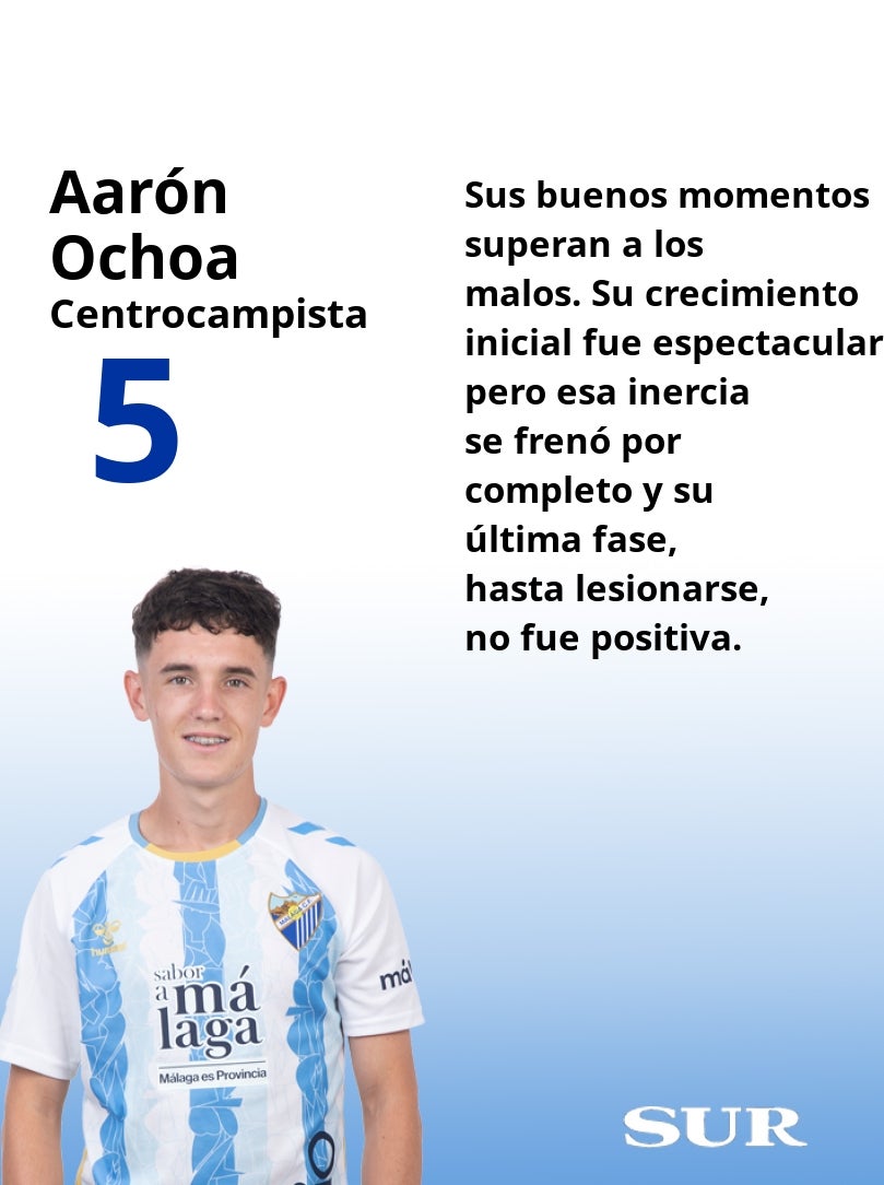 Las notas finales de los futbolistas del Málaga