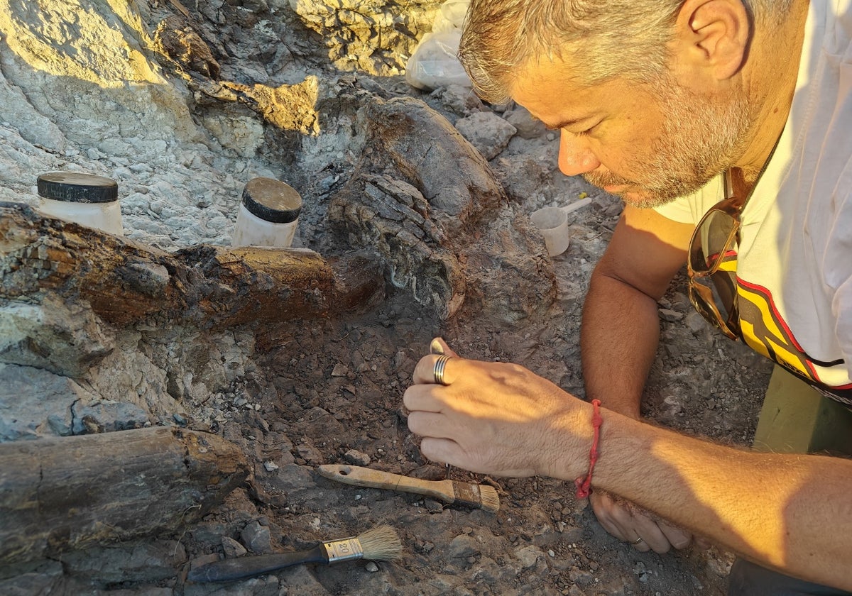 Científicos de la UMA descubren restos de mamuts en el yacimiento más antiguo de Eurasia