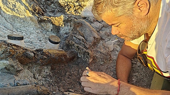 Científicos de la UMA descubren restos de mamuts en el yacimiento más antiguo de Eurasia