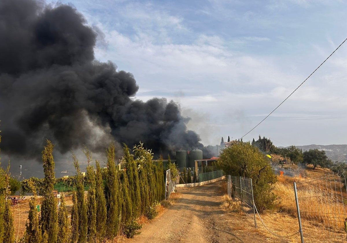 Imagen de la columna de humo, este martes en la Dehesa de Triana en Vélez-Málaga.