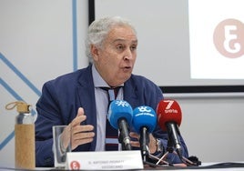Antonio Pedraza, vicedecano del Colegio de Economistas de Málaga.