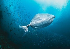 Concienciación global y acción de personas, industrias y gobiernos para frenar el derroche de plástico