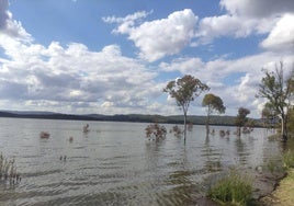 Pantano de Aracena, en Huelva, con sus reservas al máximo tras las intensas lluvias de este año.