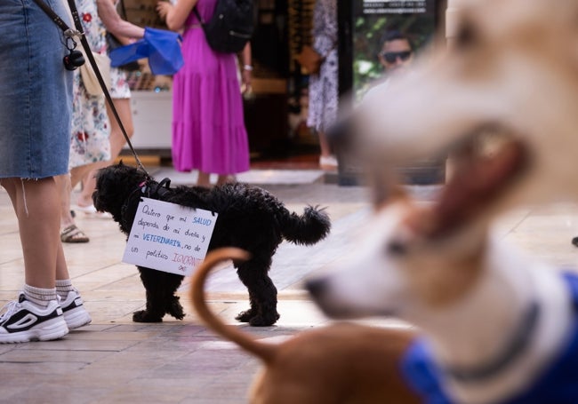 Numerosos dueños de mascotas se han sumado a la manifestación.