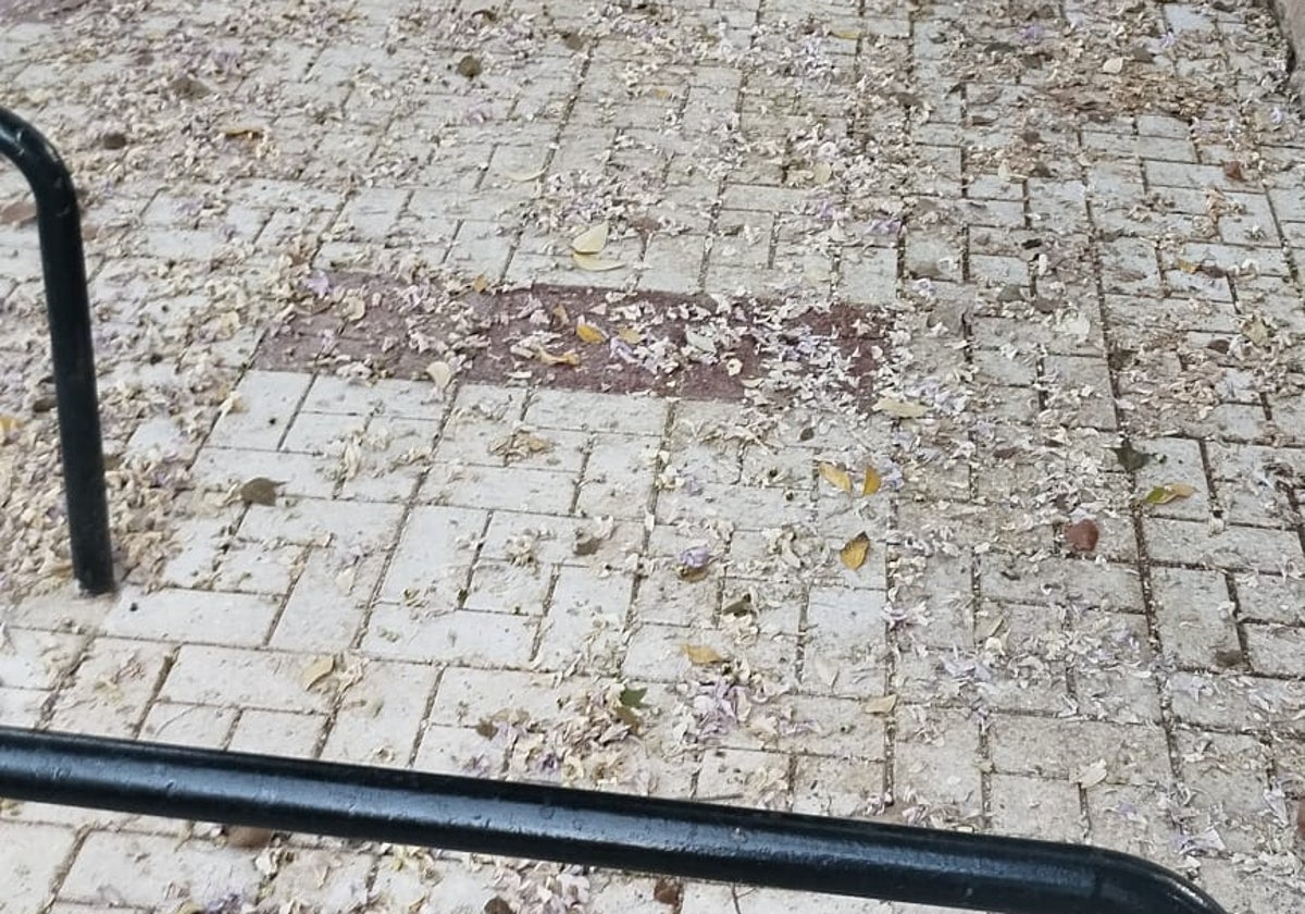 Vista de la zona de la playa denunciada en la Alegría de la Huerta.