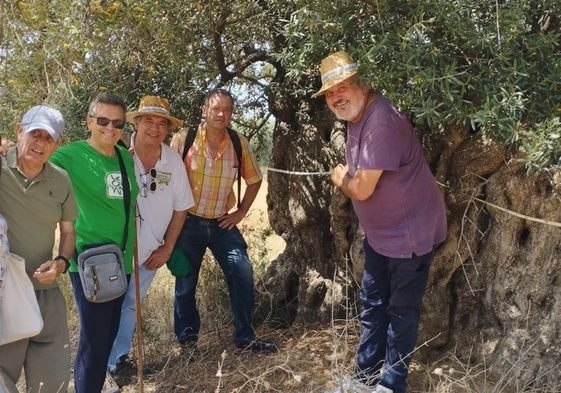 Los participantes en la iniciativa, junto a uno de los ejemplares de olivos milenarios en Vélez-Málaga.