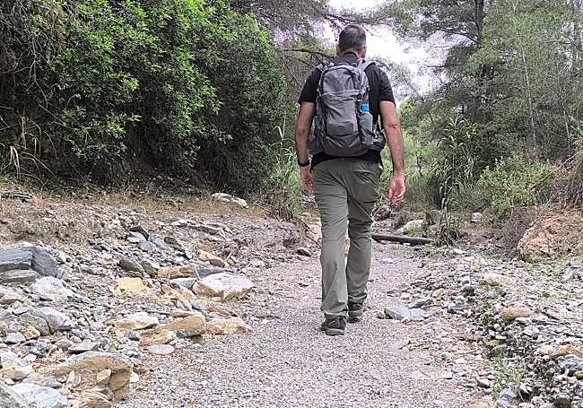 Subida por el arroyo de Cantarriján.