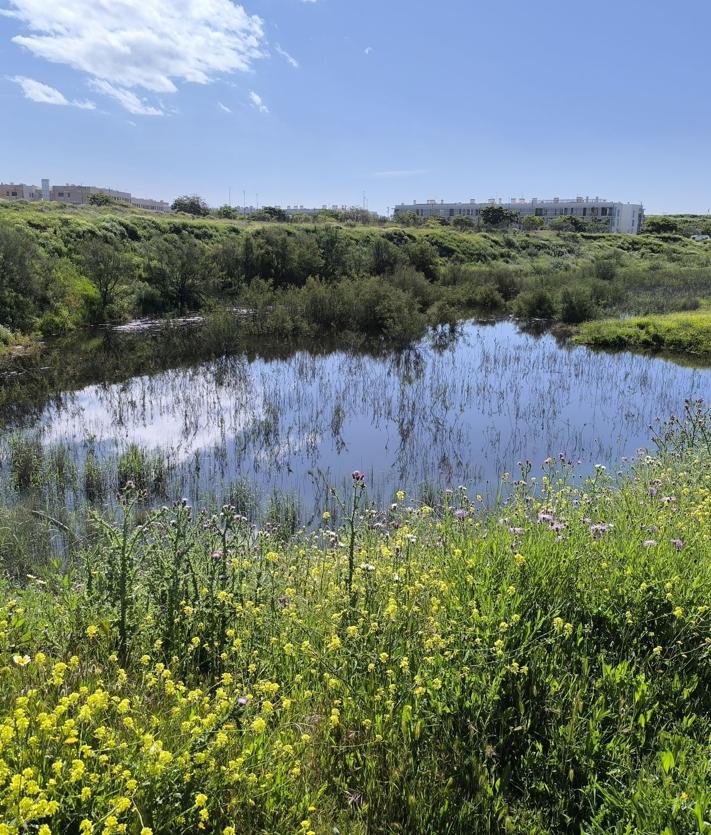 Imagen secundaria 2 - El parque forestal Atabal-Soliva, el espacio verde para Málaga que piden vecinos de Puerto de la Torre y Teatinos
