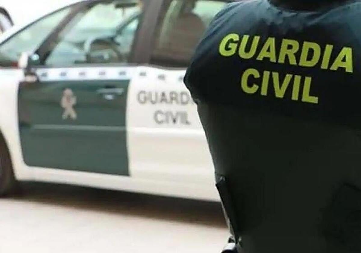 Seis detenidos al caer una red dedicada al hurto de aceitunas en la comarca de Antequera