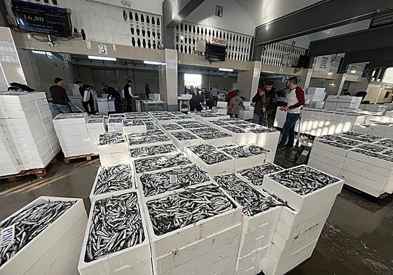 Imagen de la lonja pesquera del puerto de Caleta de Vélez.