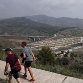 Un ejemplar recién plantado con la protección circundante en la zona de Monte Victoria.