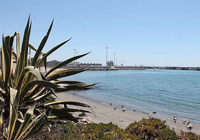 Vista del puerto de La Caleta desde Torre del Mar.