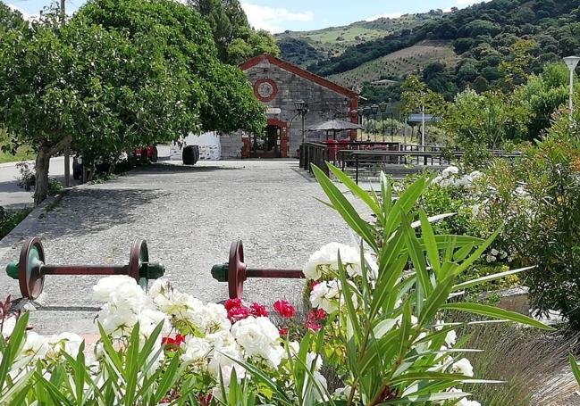 El Muelle es uno de las opciones para comer en los alrededores.