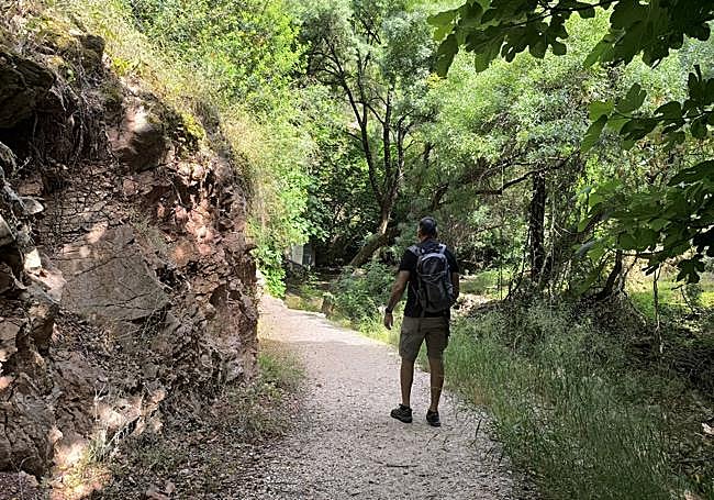 Abunda la vegetación de ribera