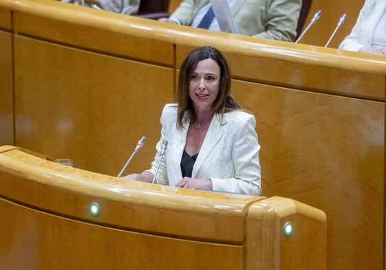 La consejera de Vivienda, Rocío Díaz, este lunes en el Senado.