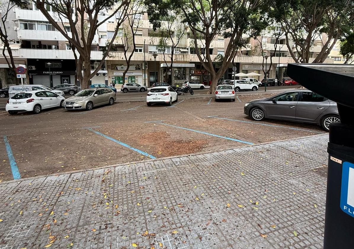 Vista de la evidencia de que no es necesaria la rotación.
