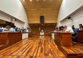 Sesión plenaria en Fuengirola.
