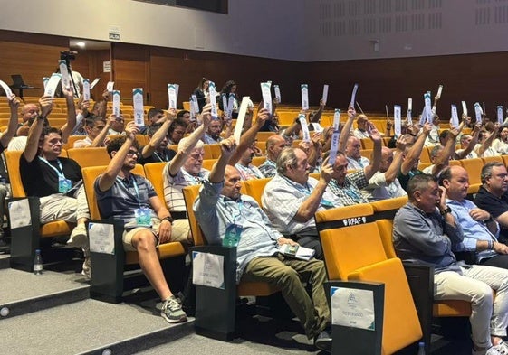 Una votación este sábado de la asamblea de la Real Federación Andaluza de Fútbol.