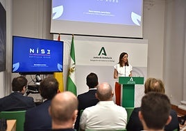 Natalia Sánchez, esta mañana, en la Delegación del Gobierno de la Junta en Málaga.