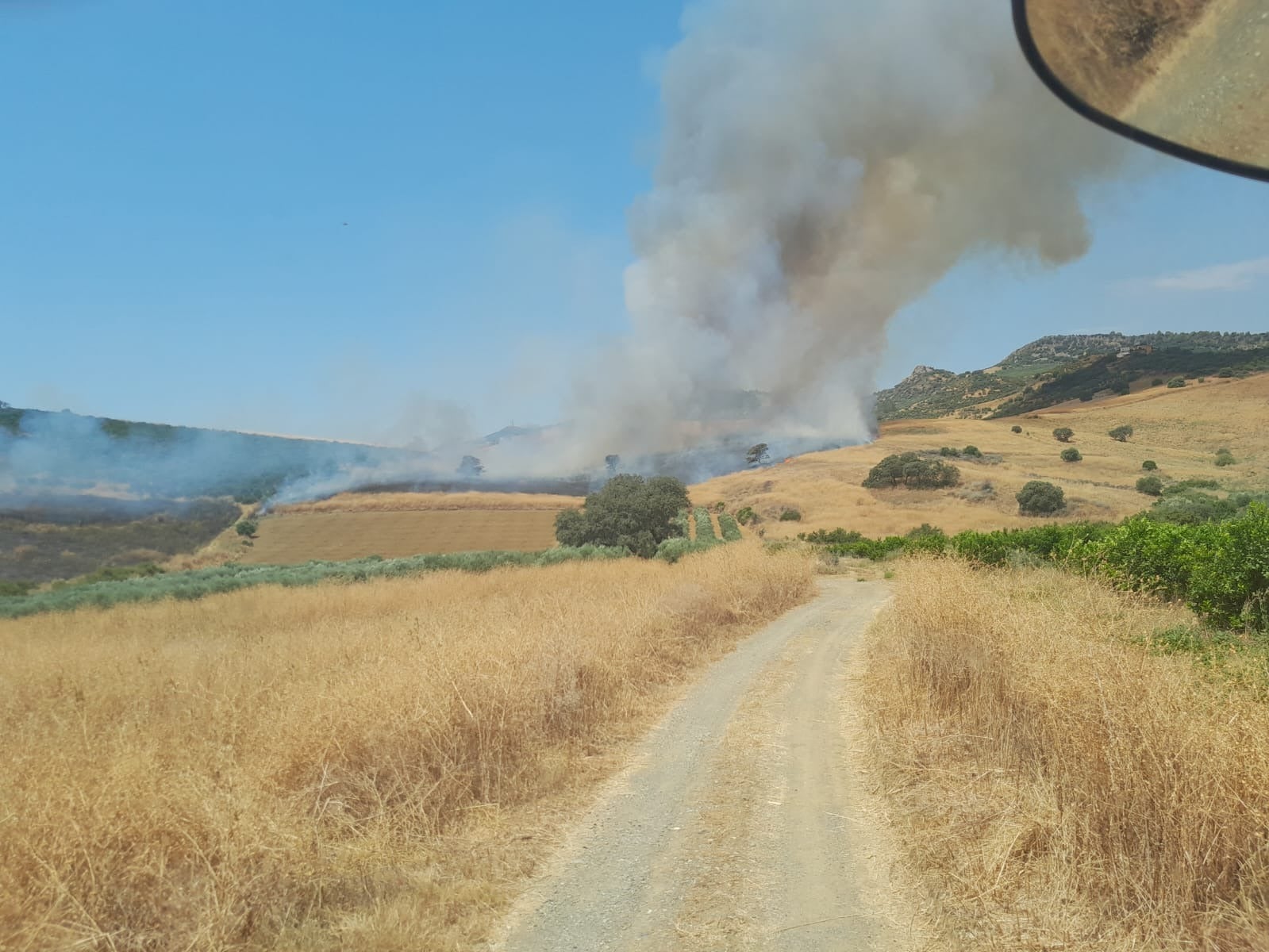 Extinguido el incendio en el paraje Las Millanas de Coín