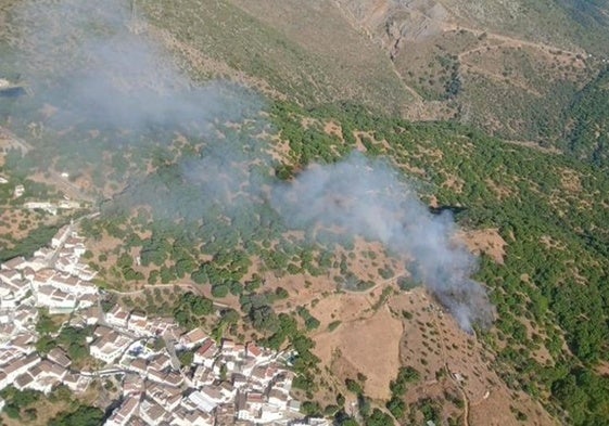Controlado el incendio forestal declarado en Parauta