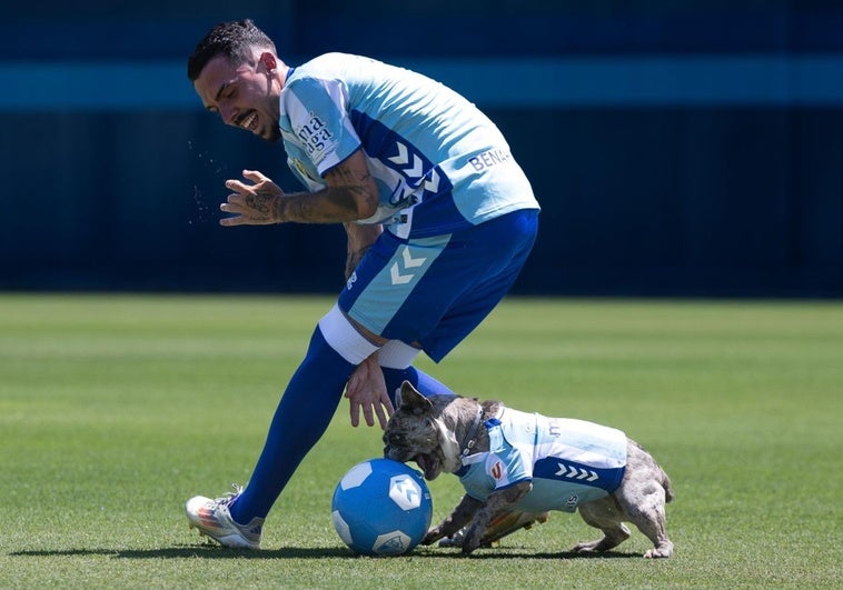 Joaquín pugna por el balón con su perra malaguista durante su presentación.