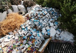 Miles de mecheros, arrojados en un paraje lleno de vegetación, en la linde de Torremolinos y Málaga.