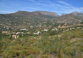Imagen de viviendas rurales diseminadas en Alcaucín.