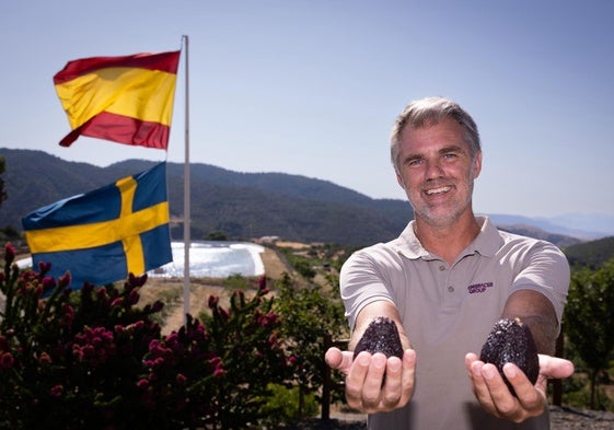 Pelle Lundborg, en su finca Solmark de Carratraca, muestra dos aguacates de su cosecha.