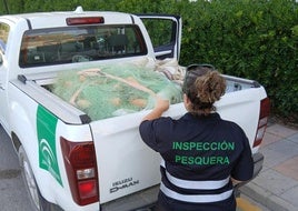Inspección Pesquera incauta artes de pesca ilegales en la costa de Málaga