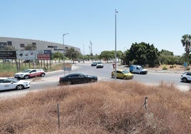 Imagen de la rotonda junto al Ciudad de Málaga, con el estadio al fondo.