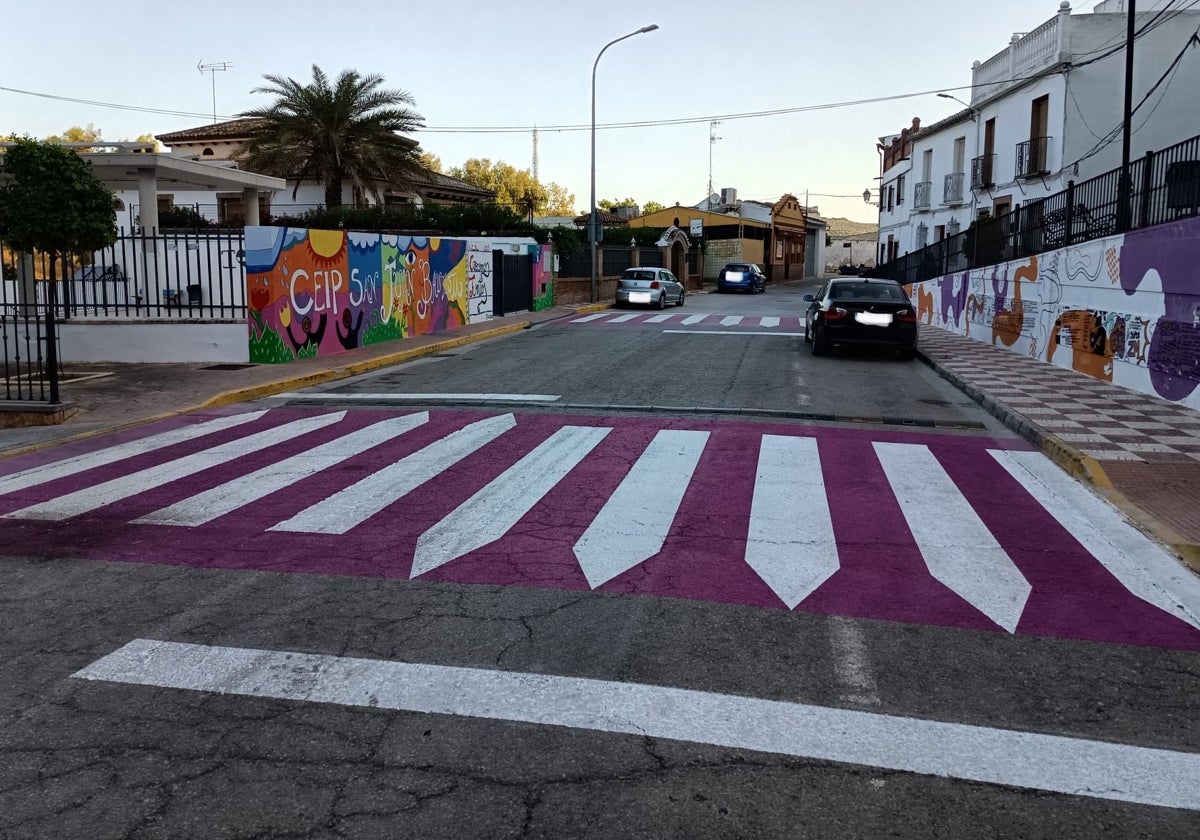 Uno de los pasos de cebra de Cuevas Bajas.