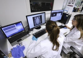 Investigadoras del IBIMA Plataforma Bionand.